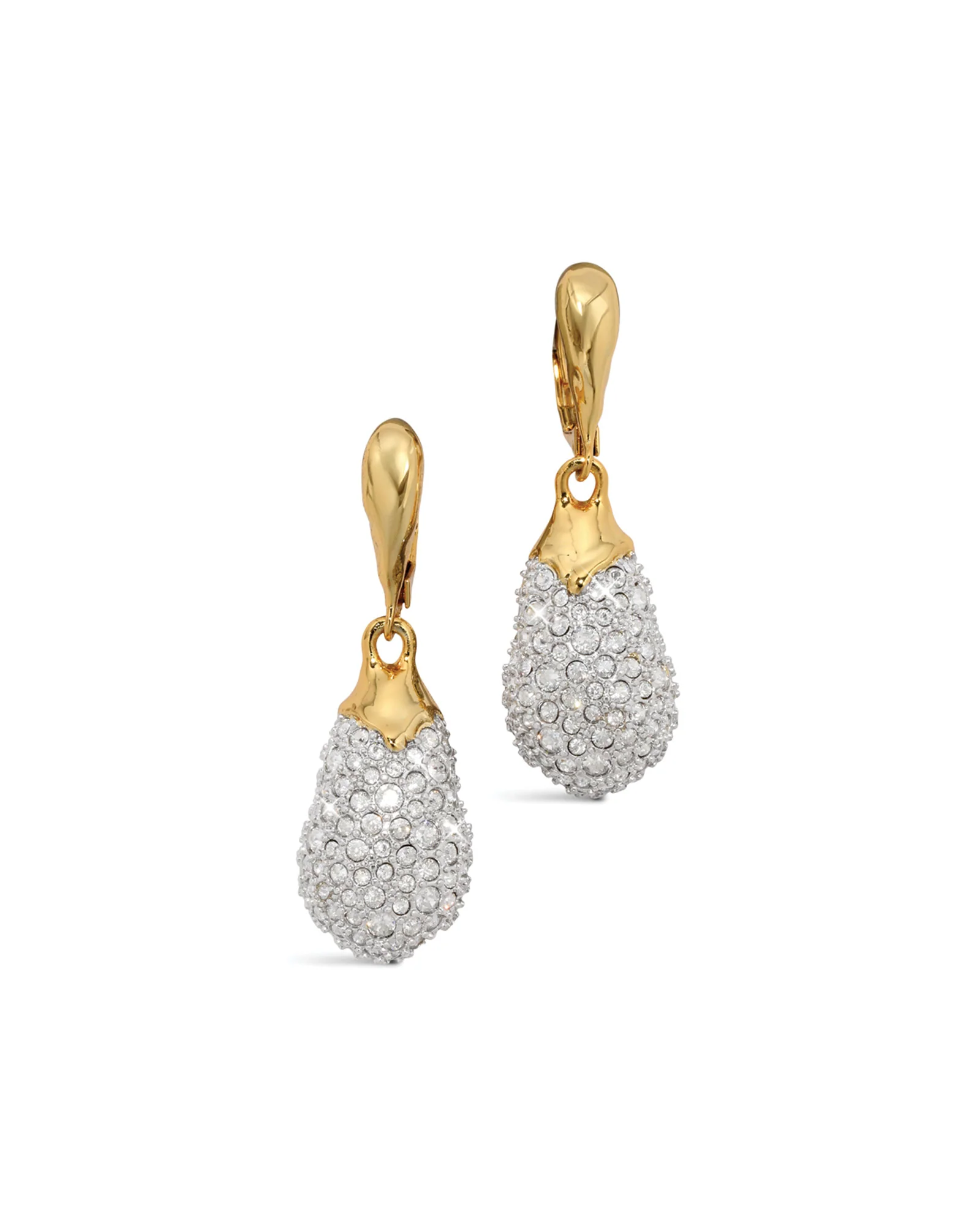 Solanales Crystal Teardrop Leverback Earrings