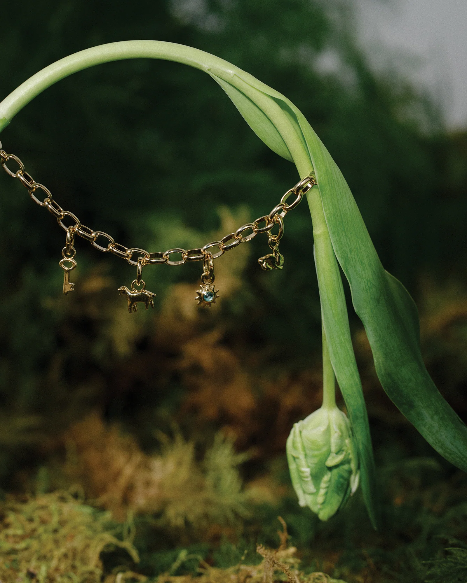 Alba Charm - Image 2