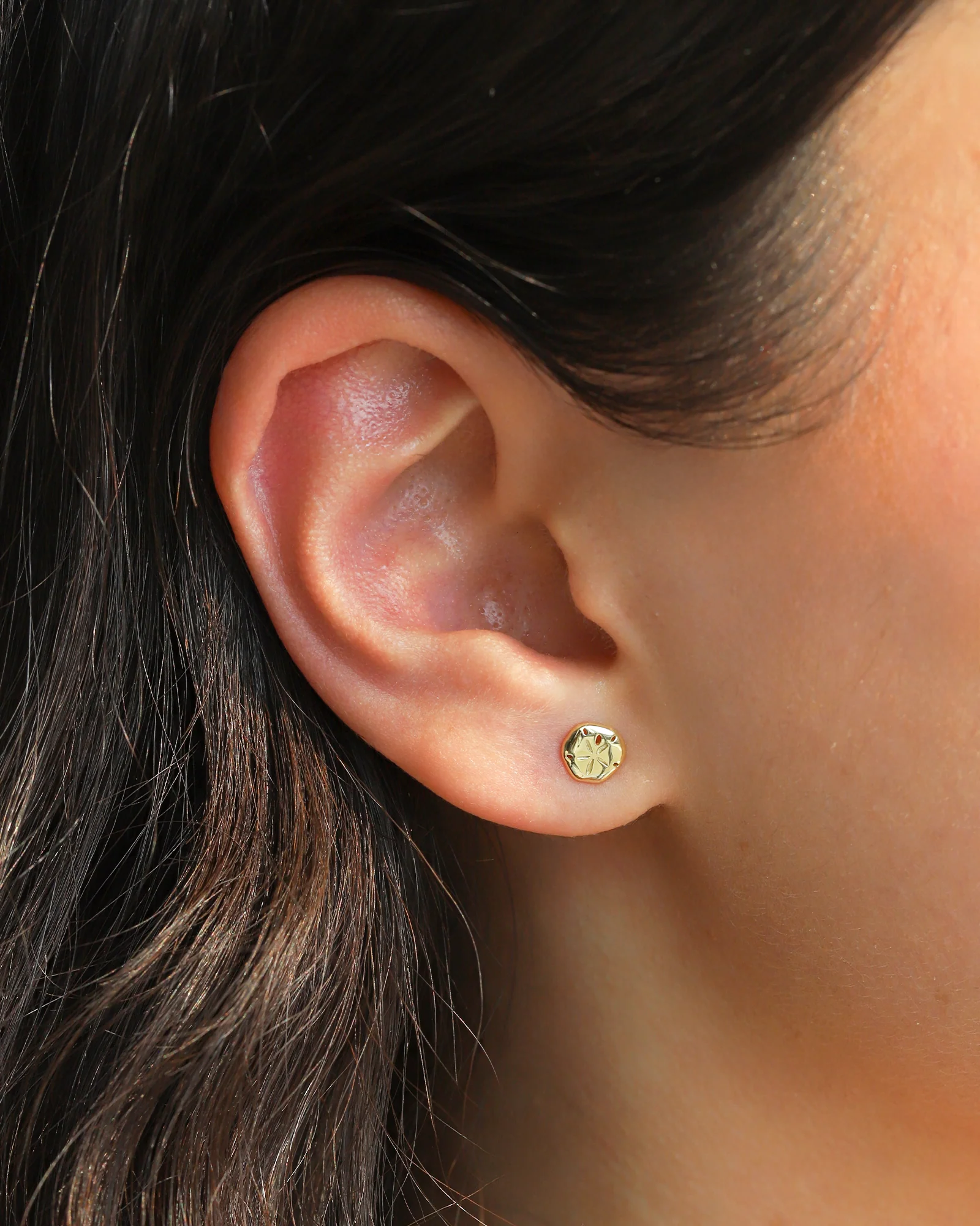 Sand Dollar Studs - Image 2