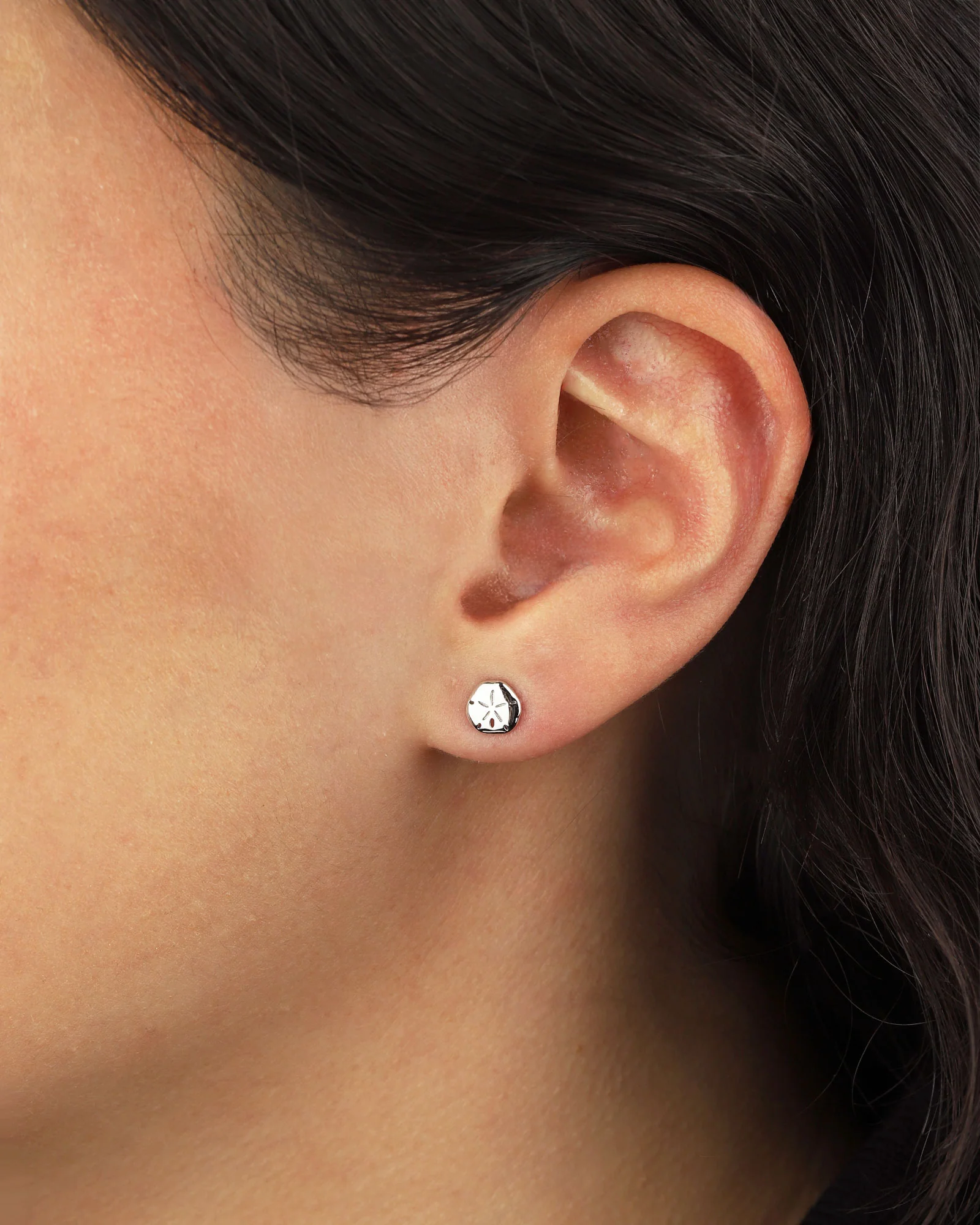 Sand Dollar Studs - Image 2