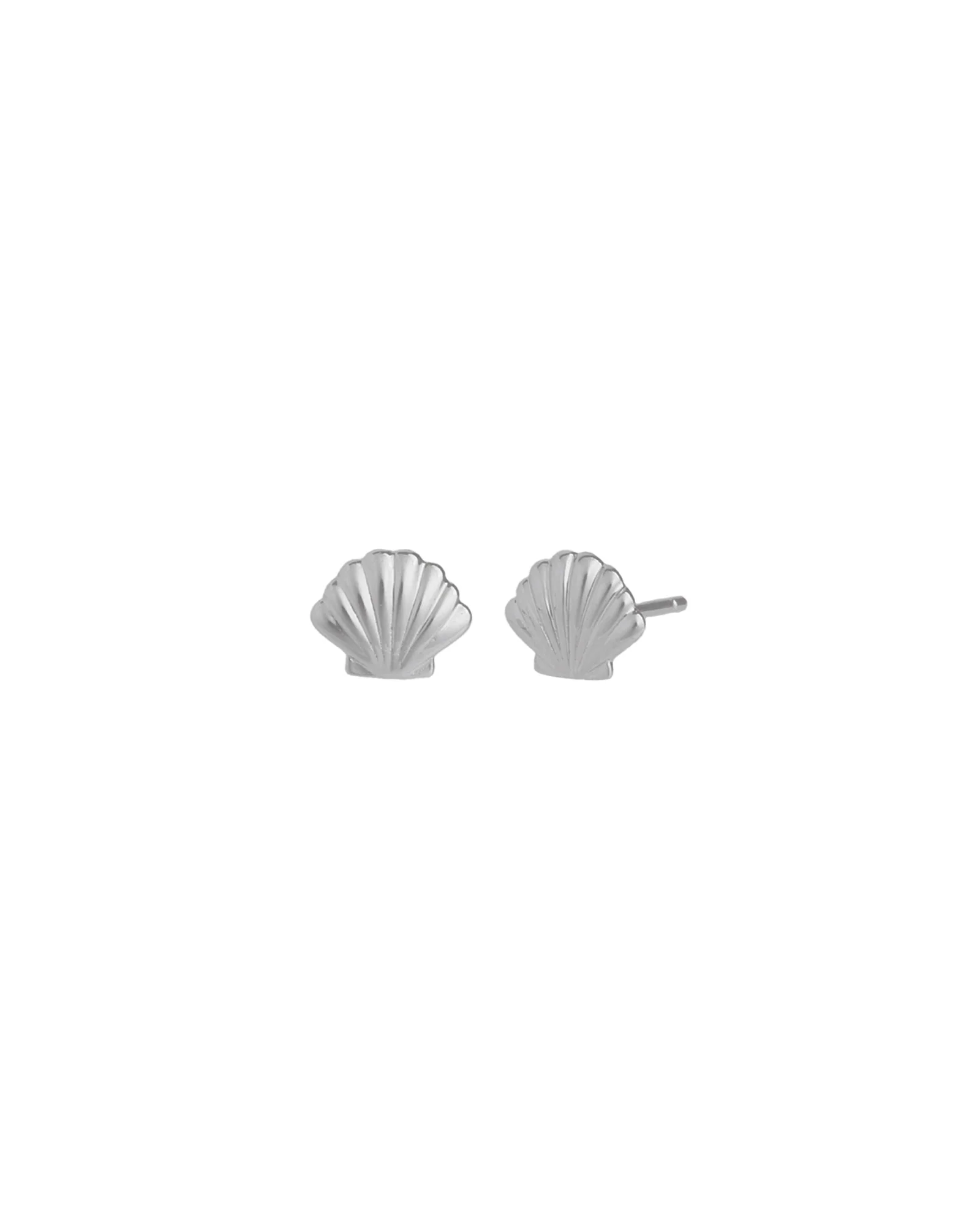 Shell Studs